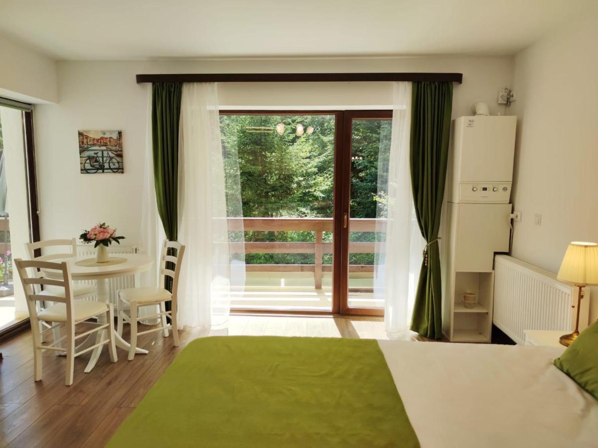 Green Studio Predeal Eksteriør bilde